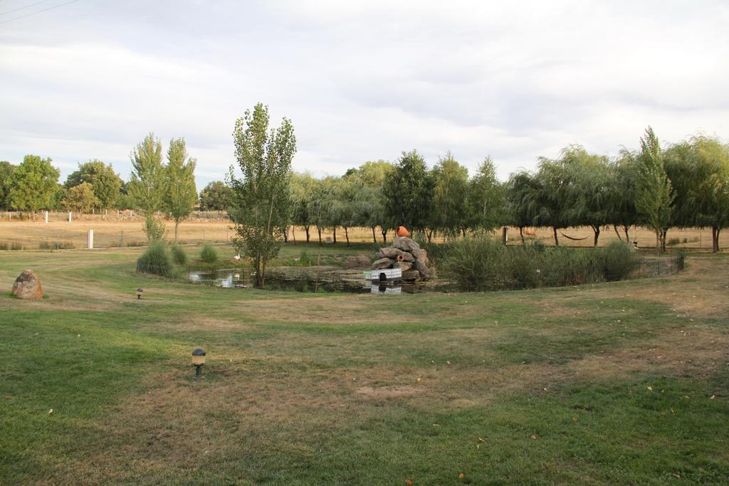 O Pelicano Bed and Breakfast Alfaiates Exterior foto